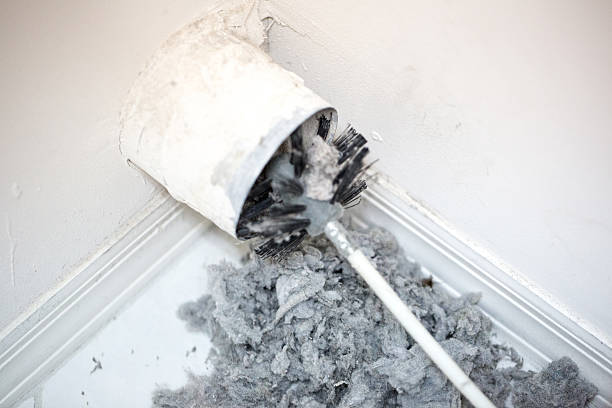 Best Commercial Air Duct Cleaning  in Rome, IL